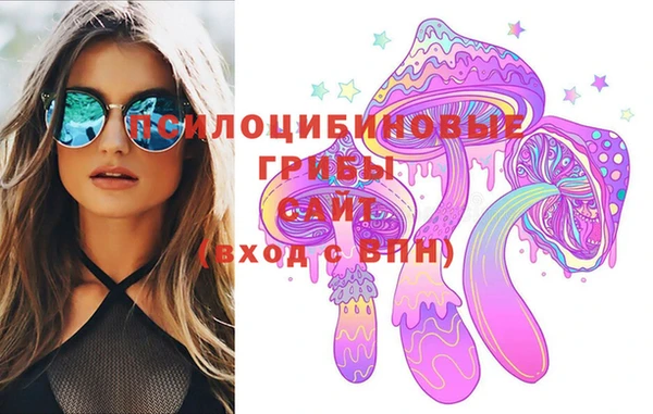 прущие грибы Михайлов