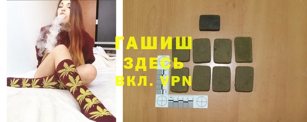 прущие грибы Михайлов