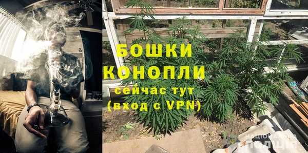 прущие грибы Михайлов