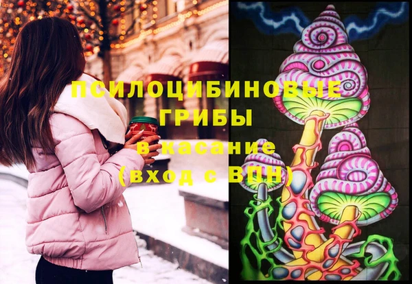 молекула духа Усинск