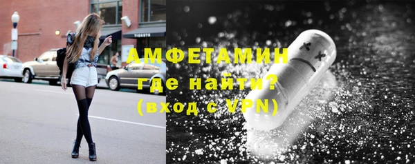 прущие грибы Михайлов