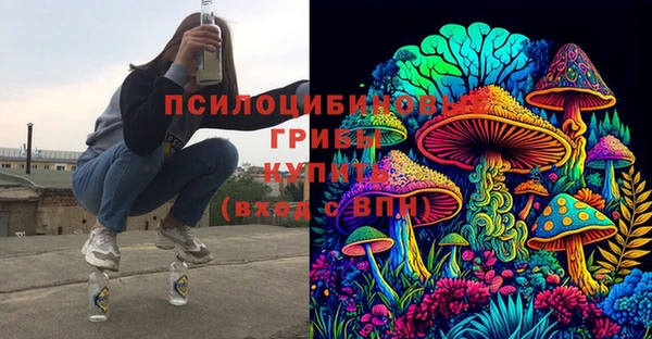 прущие грибы Михайлов