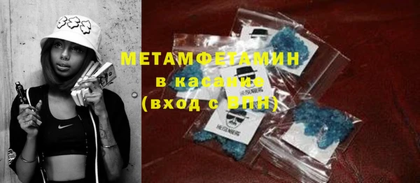 прущие грибы Михайлов