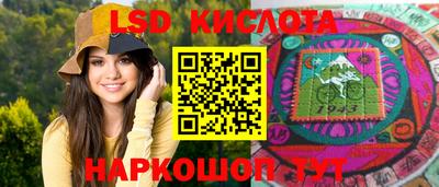 СК Кингисепп