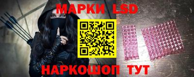 СК Кингисепп