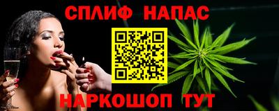 СК Кингисепп