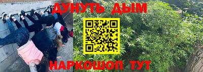 винт Кимры