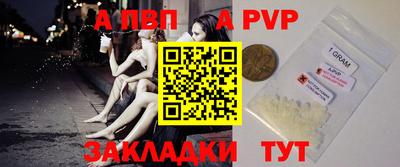 СК Кингисепп