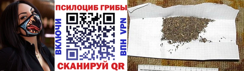 где продают   Мурманск  Галлюциногенные грибы Magic Shrooms 