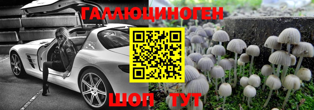 где купить наркотик  Галлюциногенные грибы Magic Shrooms  Вход с VPN  Мурманск 